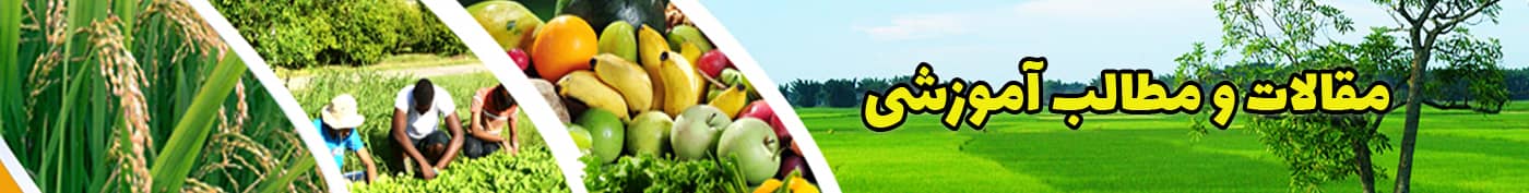 مقالات و مطالب مفید