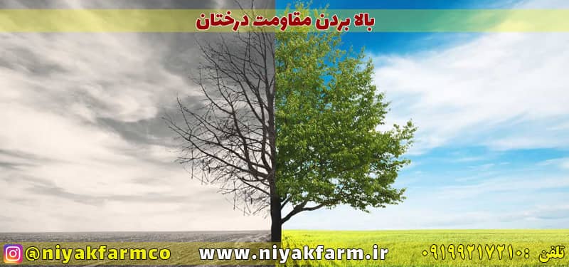 بالا بردن مقاومت در گیاهان و درختان