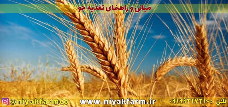 مبانی و راهنمای تغذیه جو