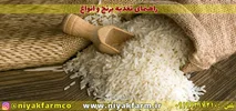 راهنمای و اصول کاشت و برداشت برنج