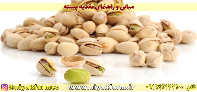 مبانی و اصول کشت و تغذیه پسته