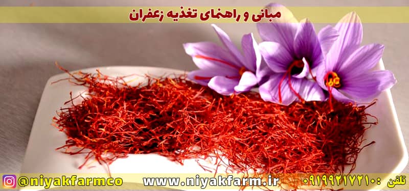 مبانی و اصول کاشت و تغذیه زعفران
